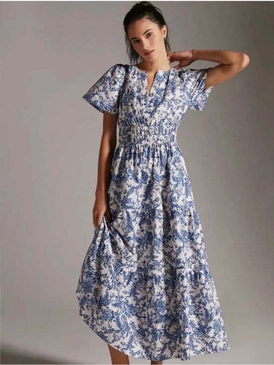 Anthropologie Dresses & Skirts - Anthropologie Blue and White Floral Somerset dress in XS